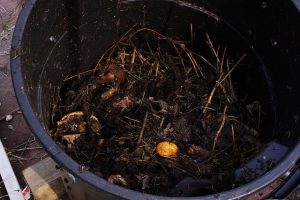 A bin of compost.