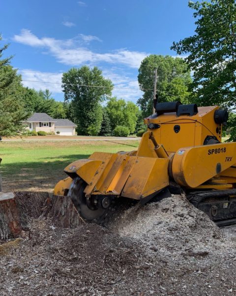 Stump Grinding
