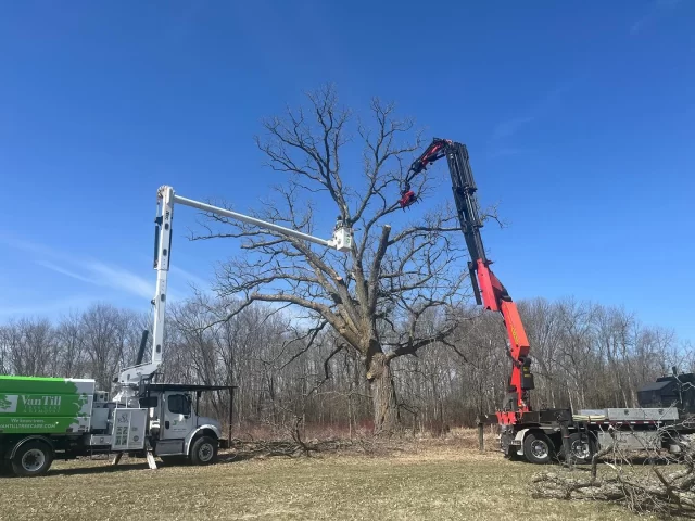 Tag team actionShane and Jake working together on this large Oak removal.  This Oak was unfortunately uprooted and showing signs of rot. #vantilltreecare #hireacertifiedarborist #treemek #trenthillsontario #northumberlandcountyontario