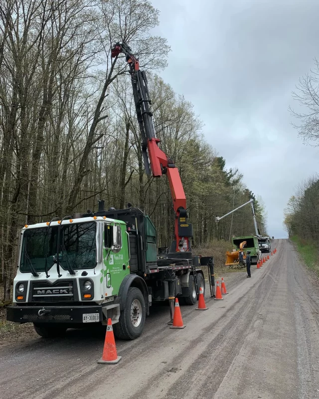 Embark on a fulfilling journey with Van Till Tree Care Inc.  With core values of safety, honesty, hard work, and working as a team, we invite you to join our dynamic and growing team.  We offer competitive wages, based on experience, and prioritize your professional growth, offering training opportunities to enhance your skills. Access industry-leading equipment and technology, contributing to our efficiency and excellence.Positions available:Ground Person - a vital role ensuring a safe and organized work environment. From handling equipment to chipping debris, your contributions support arborists in various tasks, making you an integral part of our operations. While experience is beneficial, its not mandatory; a minimum DZ license is preferred.We are also hiring a Climbing Arborist/Bucket Operator, taking on more specialized tasks. This position involves using advanced climbing and aerial lift techniques to perform tree care operations. If you share our values, and seek a fulfilling role with ample opportunities for growth, we welcome you to be a part of our thriving and supportive tree care community.Please contact katherine@vantilltreecare.com to discuss these opportunities. #vantilltreecare #arblife #arboristsofinstagram #hireacertifiedarborist