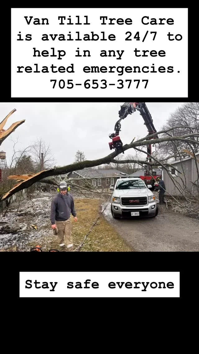 Instagram post 17884996605303981